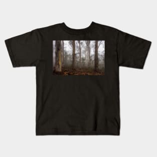 Eucalypt forest in fog, Victorian High Country, Australia Kids T-Shirt